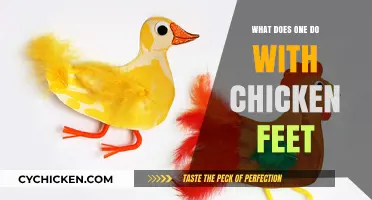 Creative Uses for Chicken Feet: From Culinary Delights to Practical Crafts