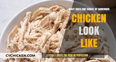 Visual Guide: What One Ounce of Shredded Chicken Looks Like