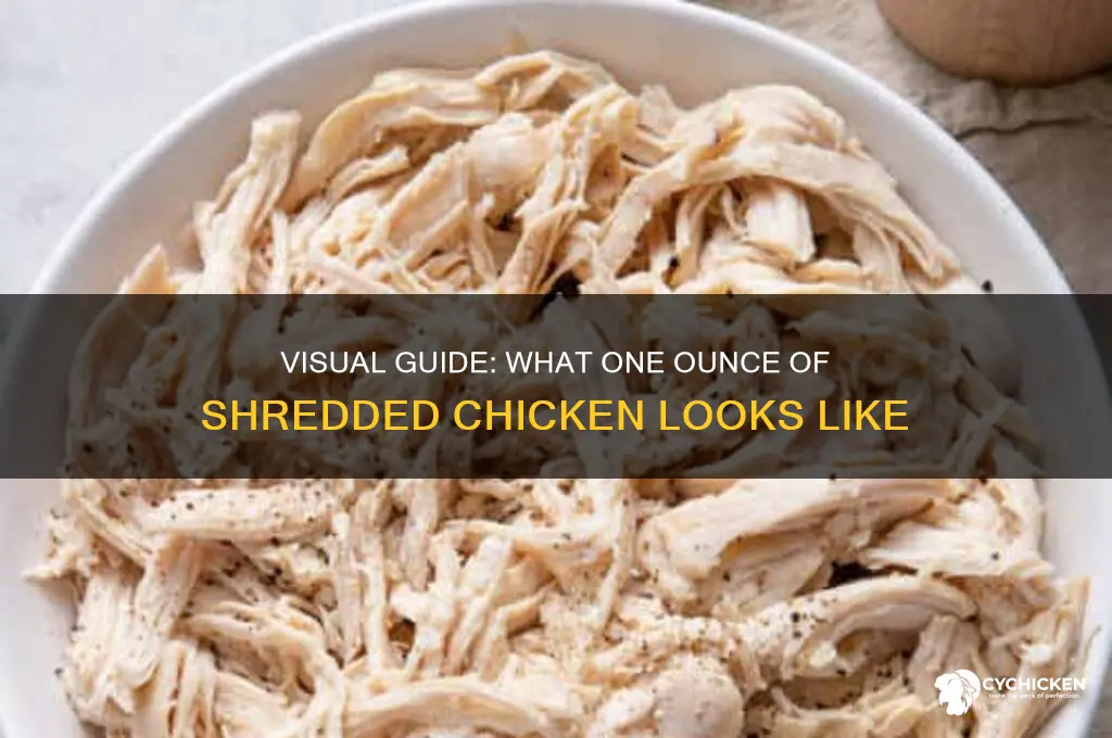 what does one ounce of shredded chicken look like