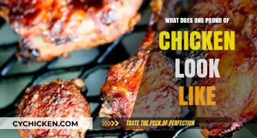 Visual Guide: Understanding the Size and Appearance of One Pound of Chicken