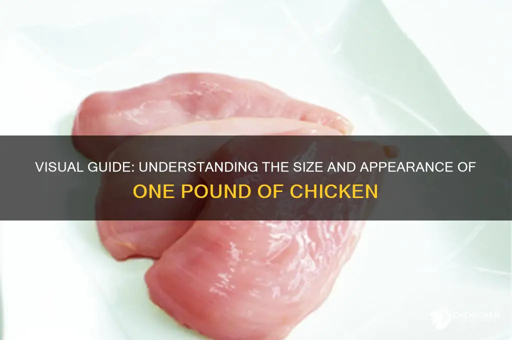 what does one pound of chicken look like