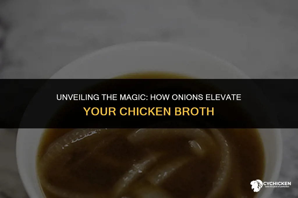 what does onion do for chicken broth