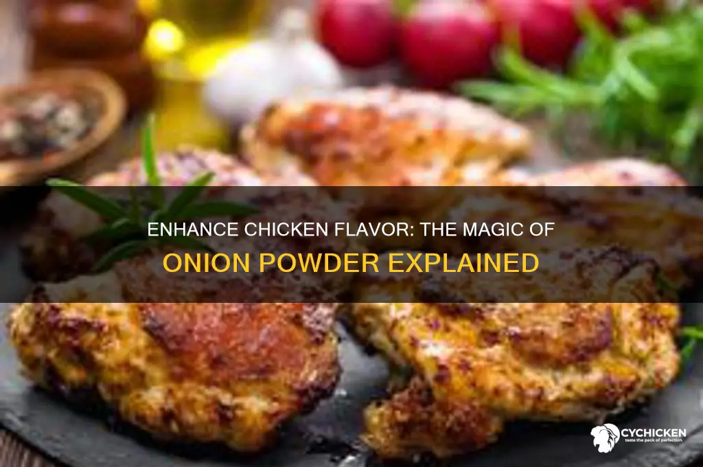 what does onion powder do to chicken