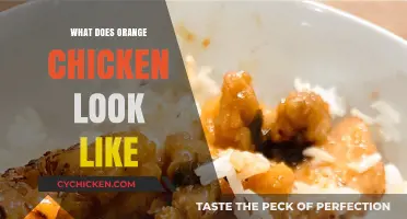 What Does Orange Chicken Look Like? A Visual Guide to This Classic Dish