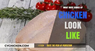 Visual Guide: What Does an Ounce of Chicken Look Like?