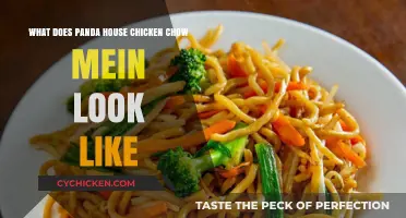 Panda House Chicken Chow Mein: Visual Guide to Its Look and Appeal