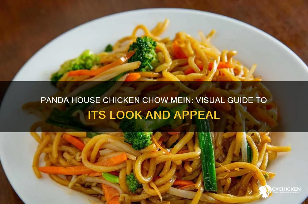 what does panda house chicken chow mein look like