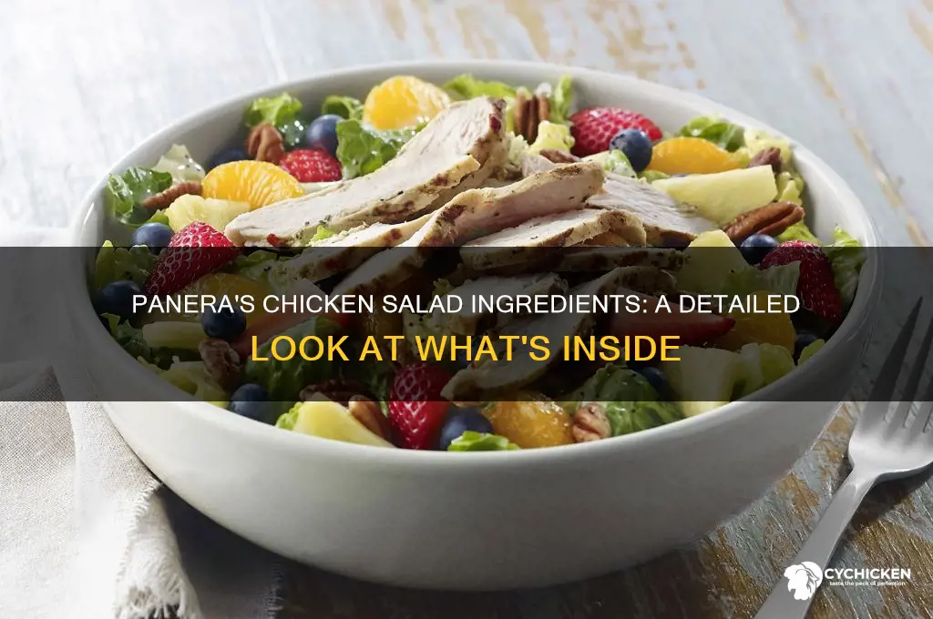 what does panera put in there chicken salasd