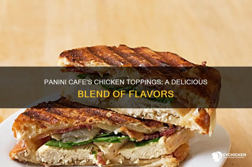 what does panini cafe put on their chicken