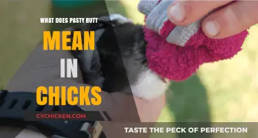 Understanding Pasty Butt: A Common Chick Health Concern Explained