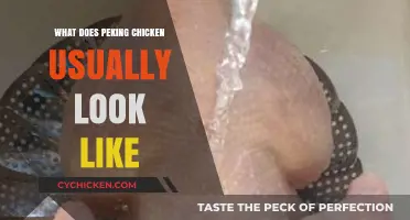 Peking Chicken Appearance: Crispy Skin, Glossy Color, and Signature Presentation