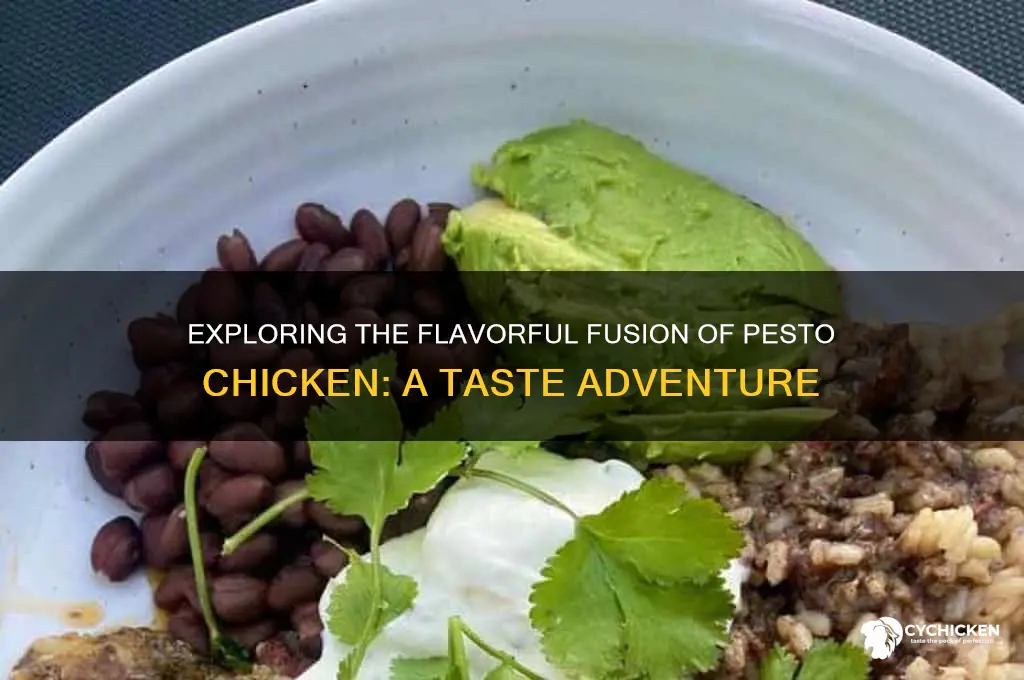 what does pesto chicken taste like