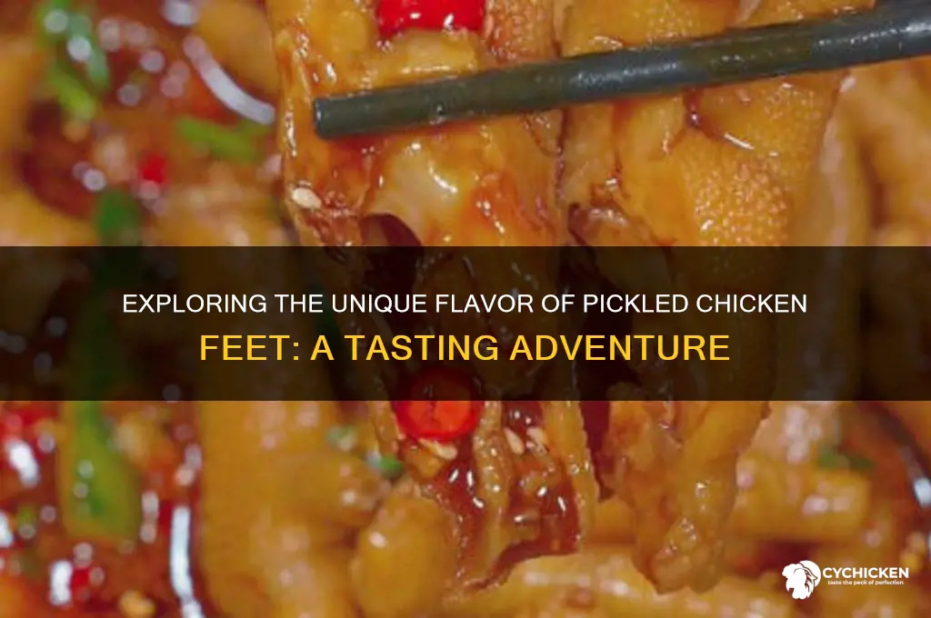 what does pickled chicken feet taste like