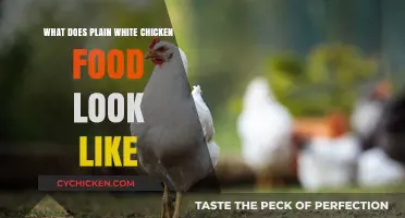 Plain White Chicken Food: Appearance, Texture, and Nutritional Value Explained