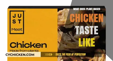 Exploring the Flavor Profile of Plant-Based Chicken Alternatives