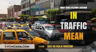 Playing Chicken in Traffic: Understanding the Risky Road Behavior