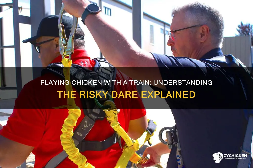 what does playing chicken with a train mean