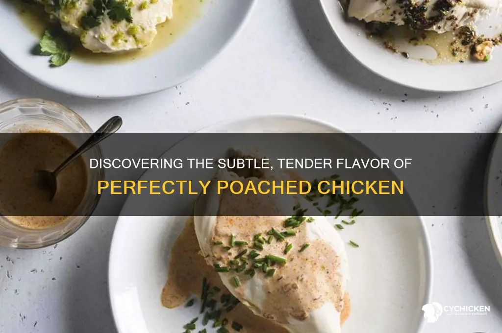 what does poached chicken taste like