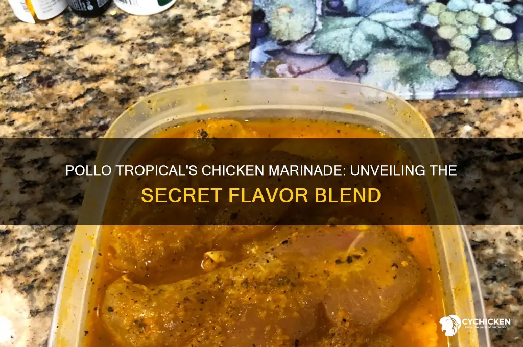 what does pollo tropical marinate their chicken in