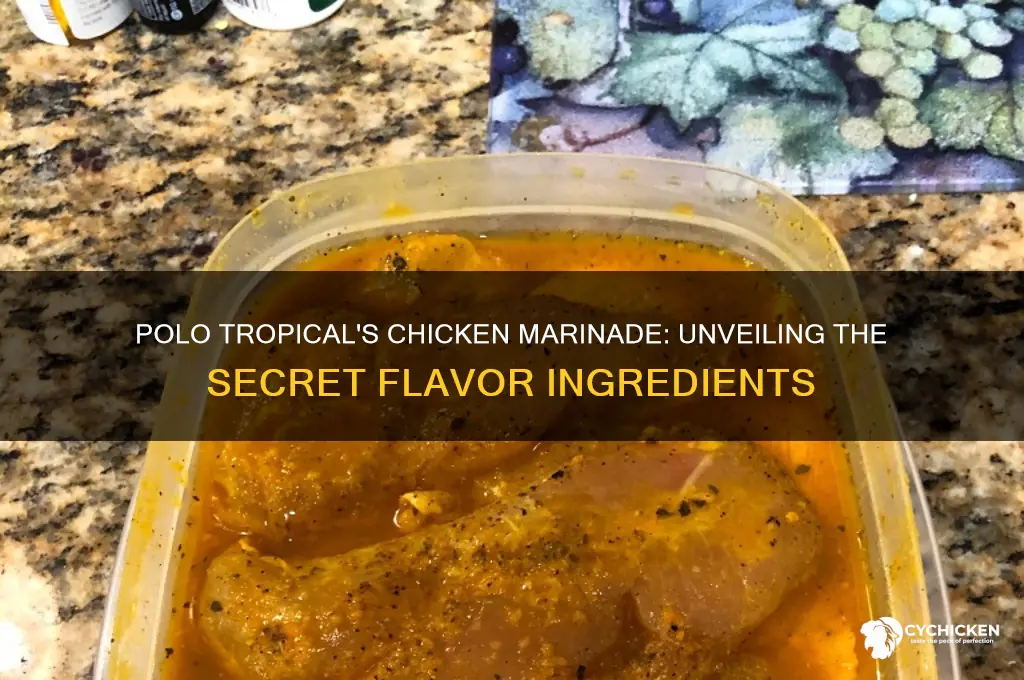 what does polo tropical marinate their chicken with