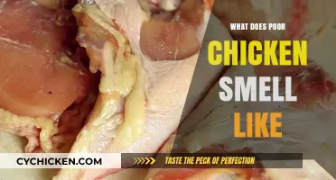 Unpleasant Aromas: Identifying the Distinct Smell of Spoiled Chicken