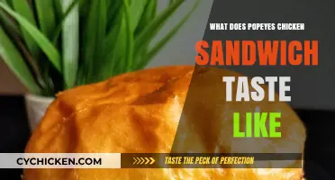 Popeyes Chicken Sandwich Review: Flavor, Texture, and First Bite Impressions