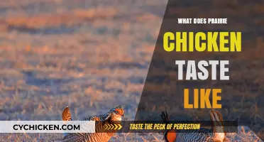 Exploring the Unique Flavor Profile of Prairie Chicken: A Culinary Adventure