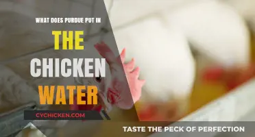 Purdue's Secret: What's Really in Their Chicken Water?