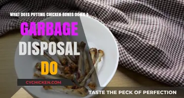 Chicken Bones and Garbage Disposals: A Recipe for Disaster