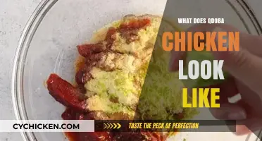 Qdoba Chicken Unveiled: A Visual Guide to Its Appearance and Texture