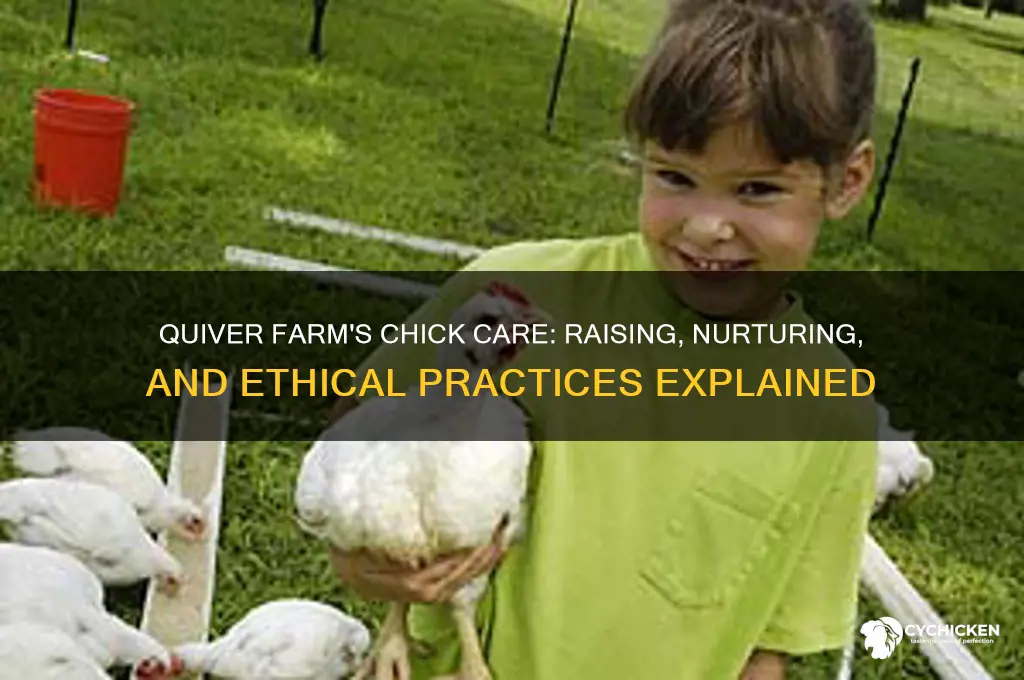 what does quiver farm do with the chicks