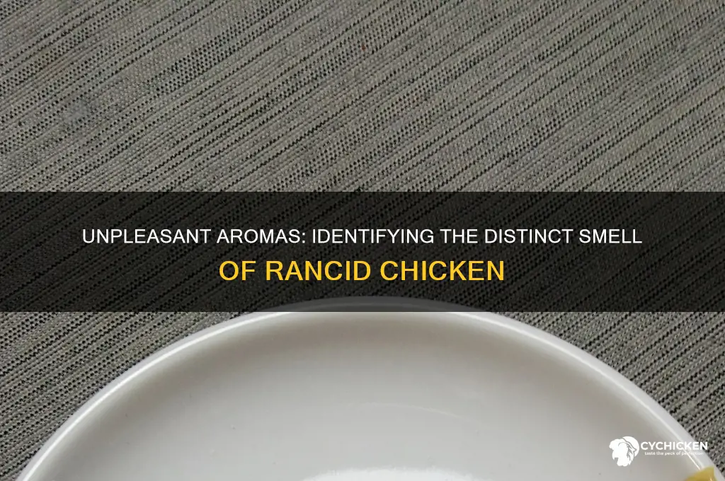 what does rancid chicken smell like