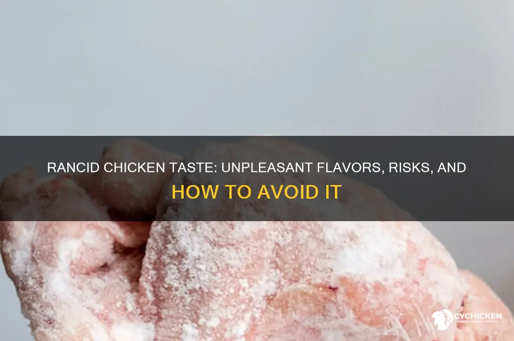 what does rancid chicken taste like
