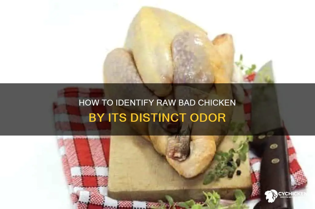 what does raw bad chicken smell like