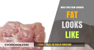 What Raw Chicken Fat Looks Like: Appearance, Texture, and Uses