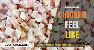 Exploring the Texture: What Does Raw Chicken Feel Like?