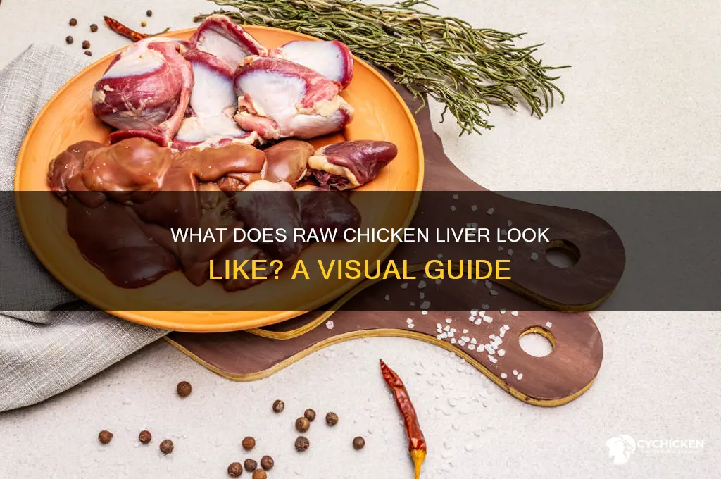 what does raw chicken liver look like