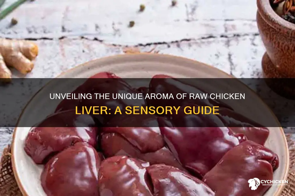 what does raw chicken liver smell like