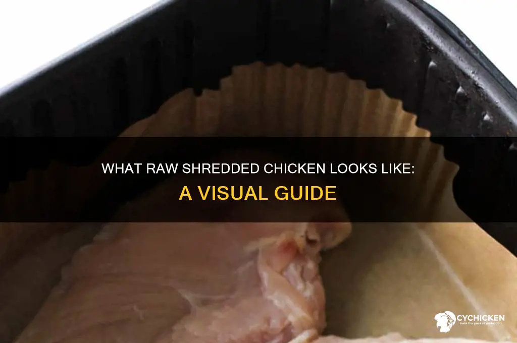 what does raw shredded chicken look like