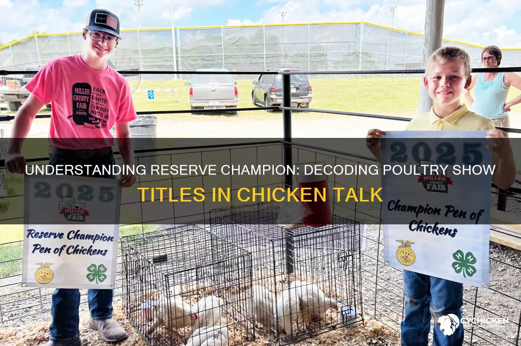 what does reserve champion mean in chicken talk