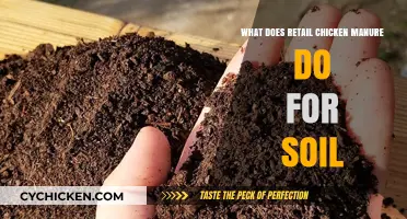 Retail Chicken Manure: Soil Benefits, Nutrient Boost, and Gardening Tips