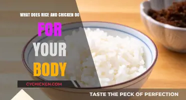 Rice and Chicken: Nutrition Powerhouse for Your Body
