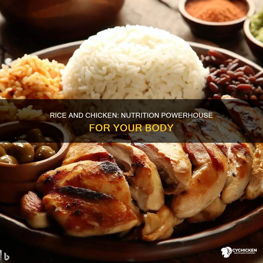 what does rice and chicken do for your body