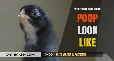 Unveiling the Truth: Rock Chick Poop Appearance Explained