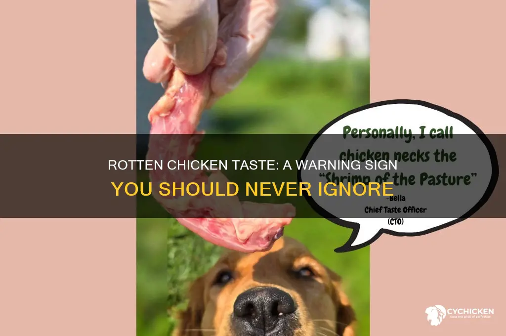 what does rotten chicken taste like