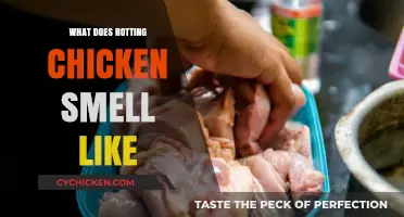 Unpleasant Aromas: Decoding the Pungent Scent of Rotting Chicken
