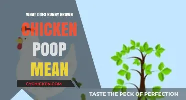 Runny Brown Chicken Poop: Causes, Concerns, and Solutions Explained