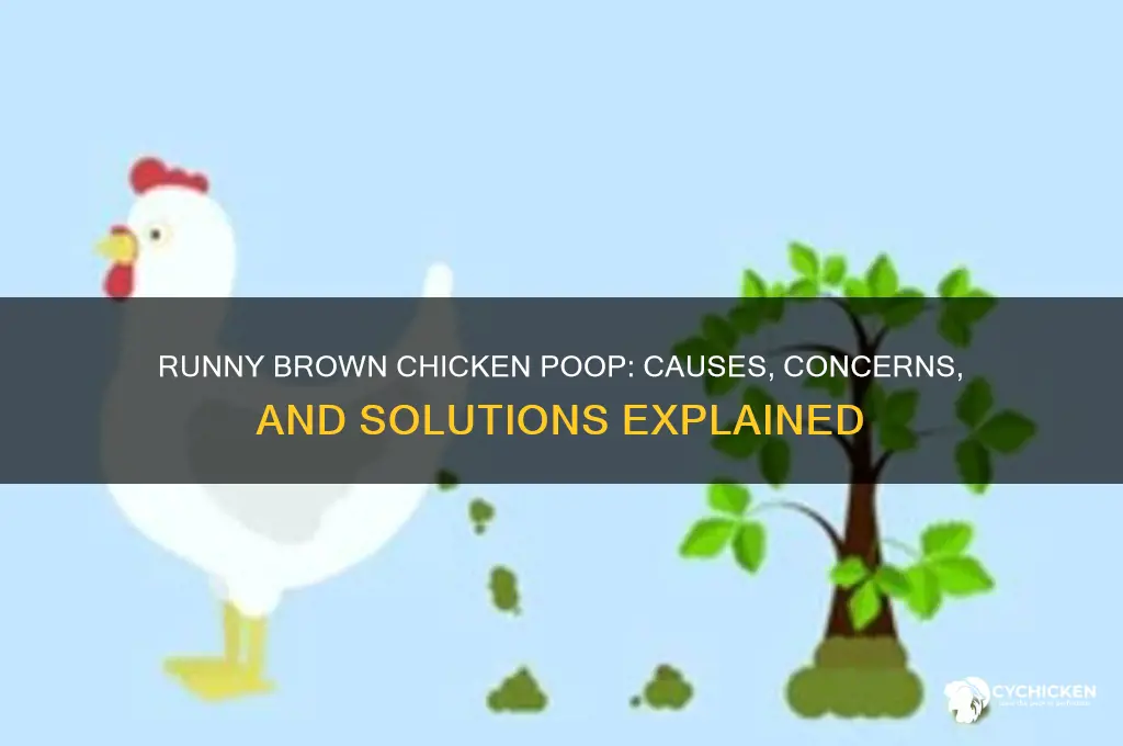 what does runny brown chicken poop mean