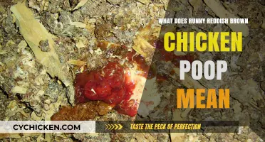 Runny Reddish Brown Chicken Poop: Causes, Concerns, and Solutions