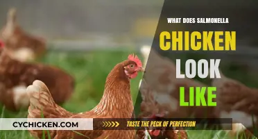 Identifying Salmonella-Infected Chicken: Visual Signs and Symptoms to Watch For